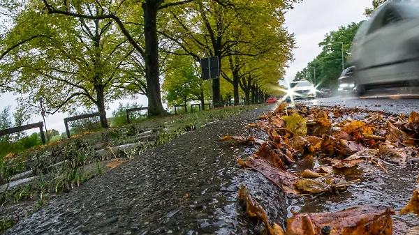 Regennasses Laub liegt am 02.10.2017 an einem Straßenrand in Hannover (Niedersachsen). Foto: Peter Steffen/dpa +++(c) dpa - Bildfunk+++