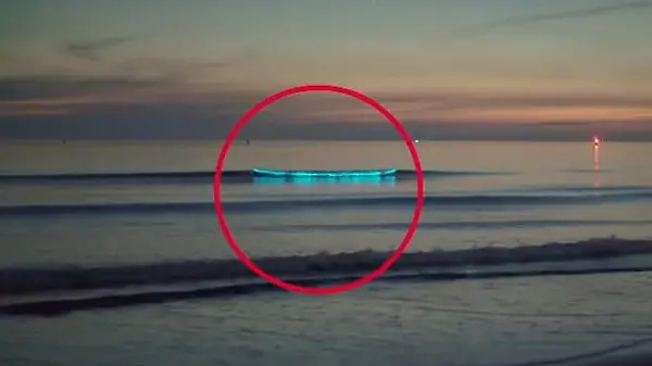 Meeresleuchten in der Nordsee gefilmt