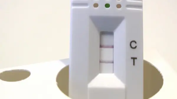 Streeck warnt vor vielen Infektionen im Herbst