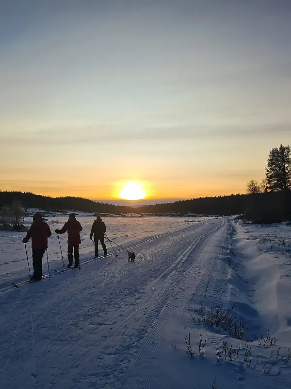 Winterurlaub in Skandinavien -Warum Norwegen zum Skifahren und Langlaufen ein echter Tipp ist