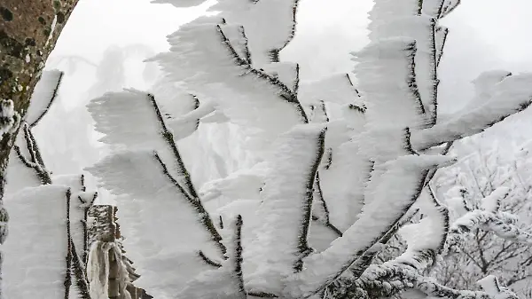 Frost und Nebel in Niederbayern