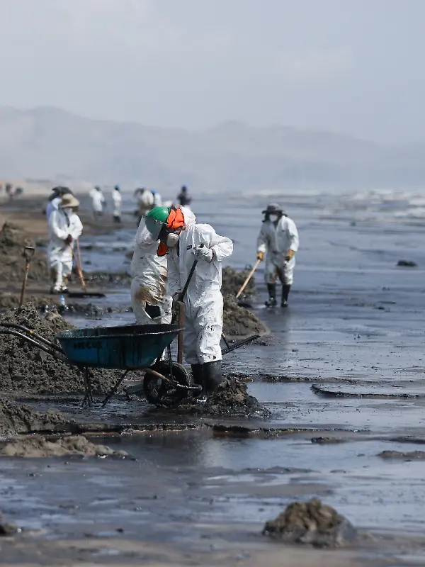 vb m k+ Aufräumarbeiten, Strand, Vulkanausbruch Tonga