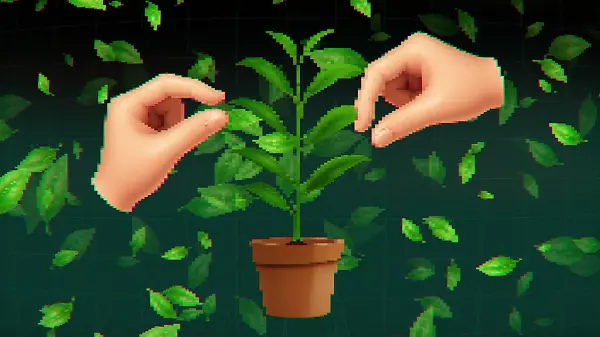 Warum ist Matcha so teuer?