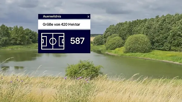 Beispiel Lenzen: Rückbau von Deichen schafft Lebensraum