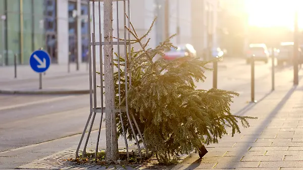 Weihnachtsbaum: Ausgedient, und nun?