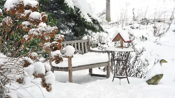 Schneelast im Garten: Abschütteln ja, aber bitte richtig