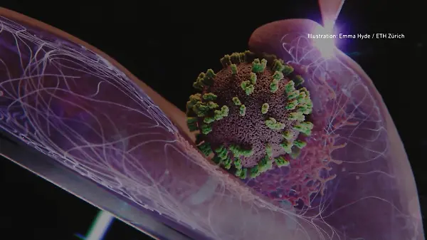 Super-Grippe breitet sich in Deutschland aus