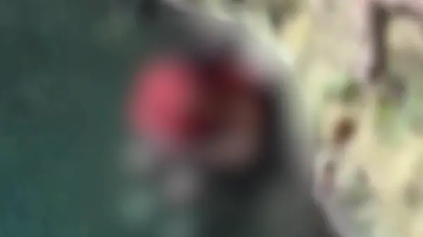 Verhaftet wegen Sex! Paar vergnügt sich an Naturwunder – inmitten von Touristen!