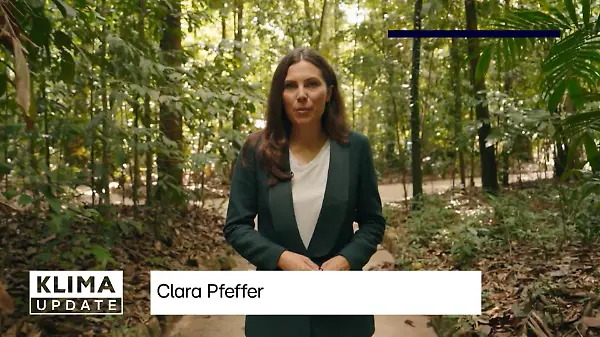 Klimakonferenz: Länder verpflichten sich zu Milliardenbeträgen für den Umweltschutz