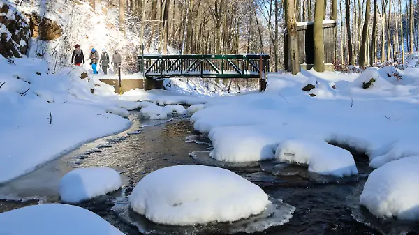 Winterwetter im Harz