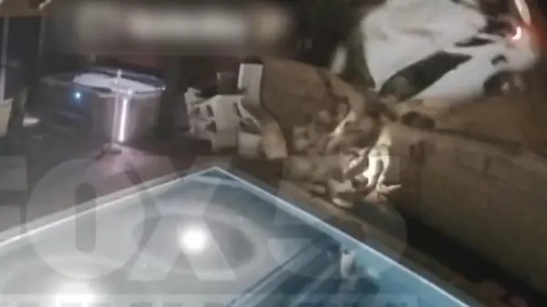 Horror-Crash im Garten! Fahrerin wird aus Auto geschleudert – und landet im Pool