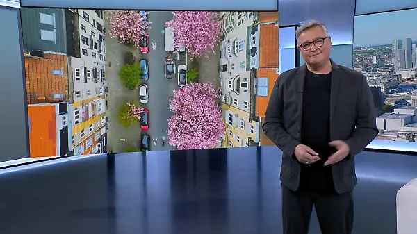 Innovative Stadtbegrünung in den Niederlanden