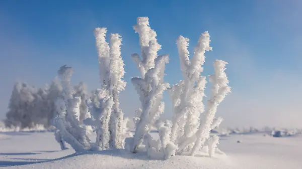 Winterwonderland auf dem Kahlen Asten am 30.01.2026