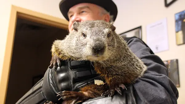 Murmeltier-Tag in Punxsutawney