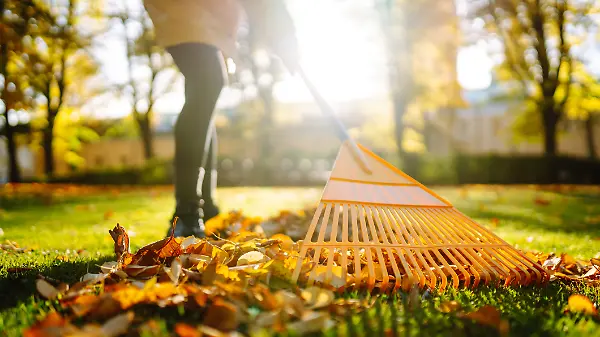 Rasen und Hecken fit für den Winter machen