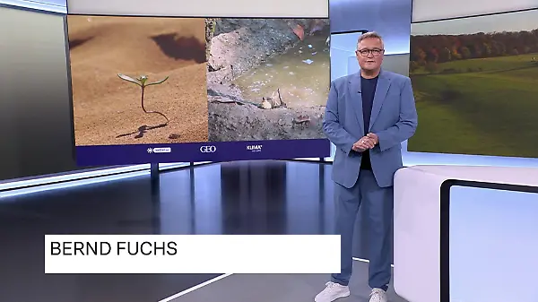Der Shinkansen - vom Eisvogel zur Innovation