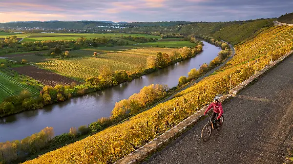 
nice senior woman riding her electric mountain bike in the steep autumnal colored vineyards of River Neckar Valley,Baden-Wuerttemberg, Germany